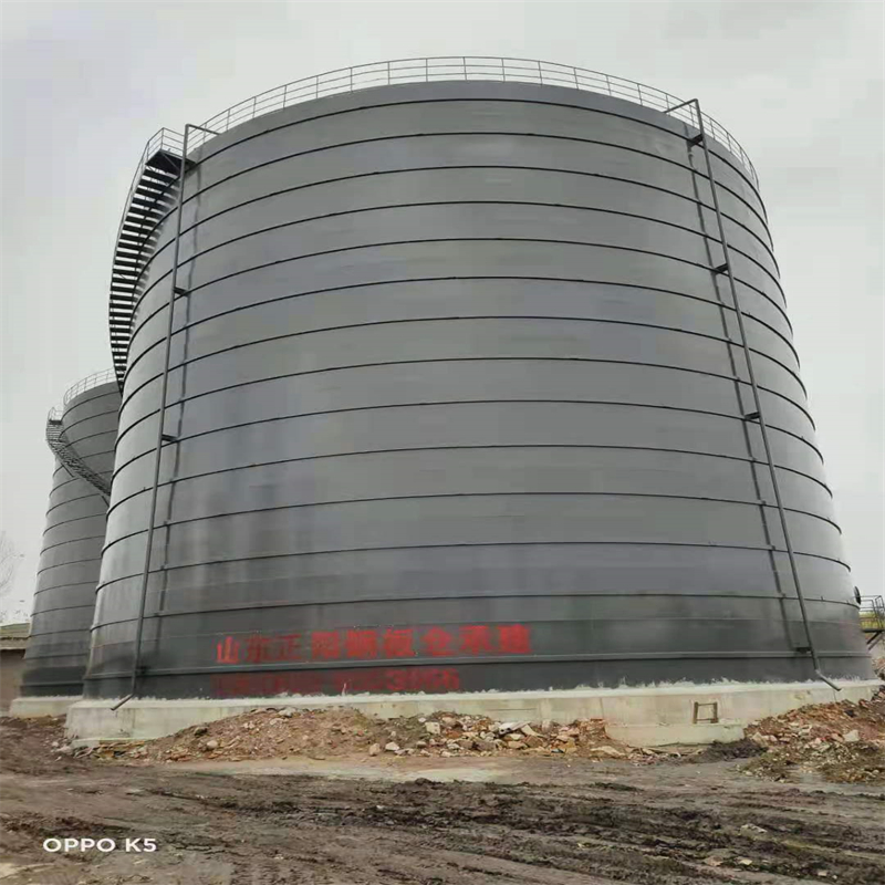 新余3万吨大型钢板库