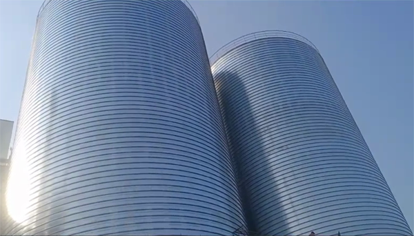 新余2座混凝土高架卷板仓